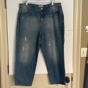 Women’s size 14 Eloquii jeans